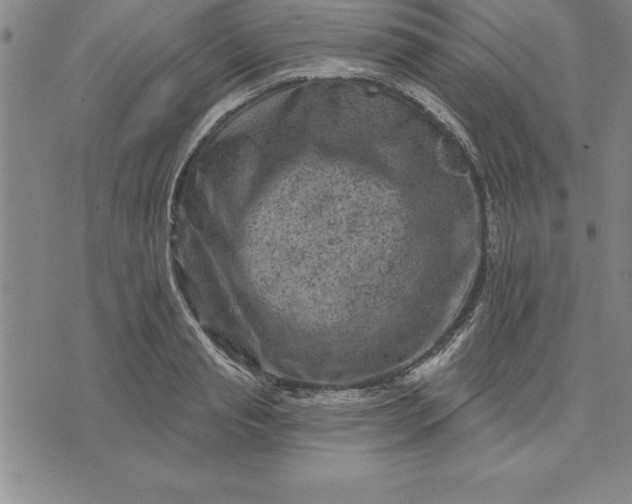 X0000071850845200607141748