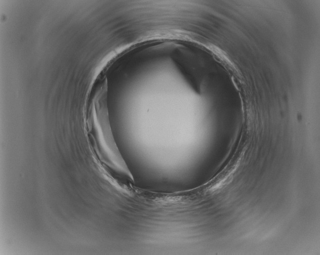 X0000071850846200607141748