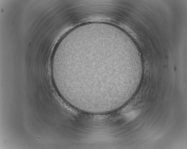 X0000071850848200607141748