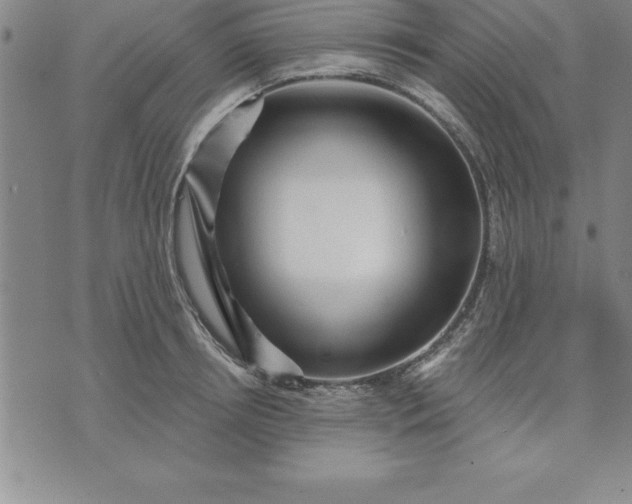 X0000071850850200607141748