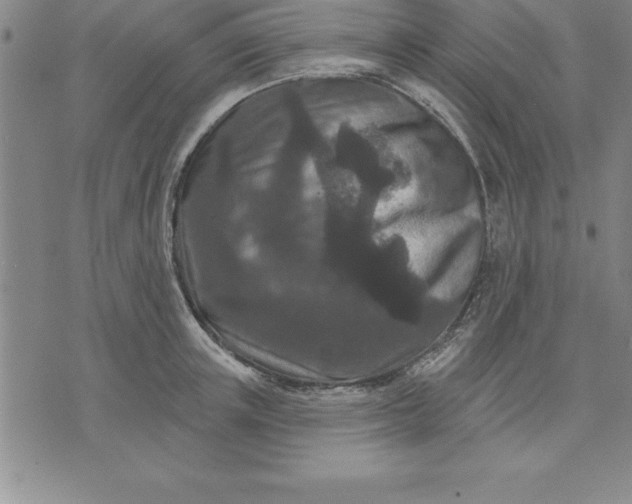 X0000071850851200607141748