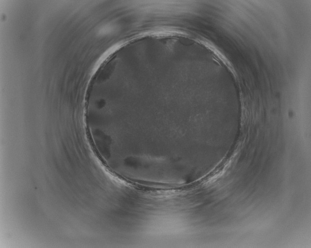 X0000071850853200607141748