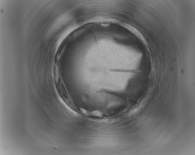 X0000071850855200607141748