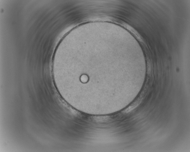 X0000071850856200607141748