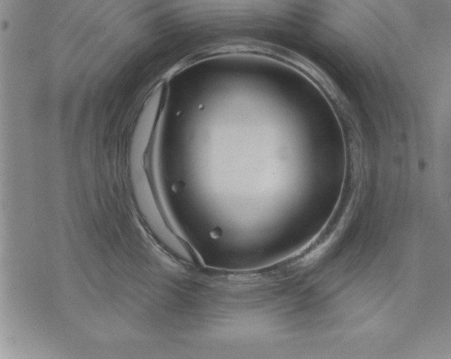 X0000071850857200607141748