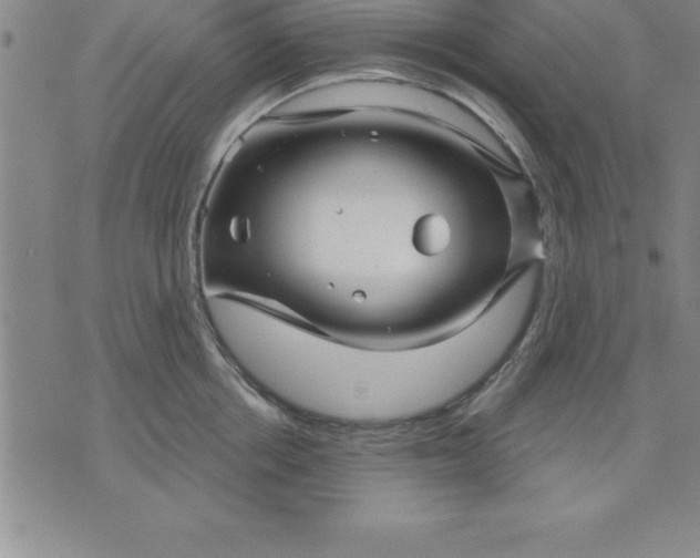 X0000071850858200607141748