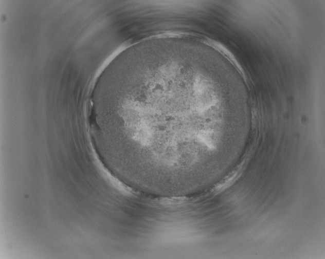 X0000071850859200607141748