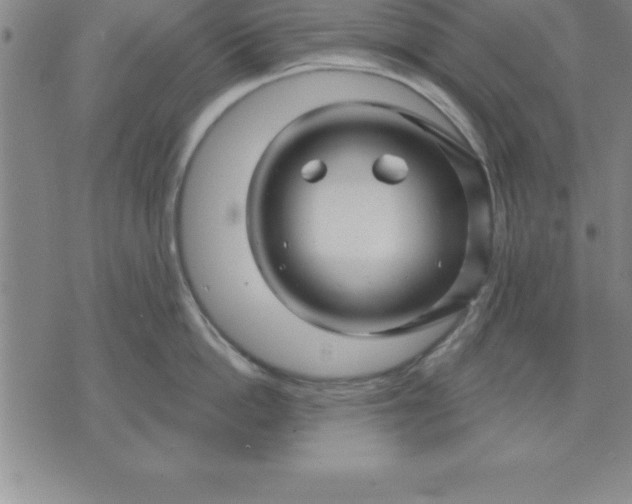 X0000071850862200607141748