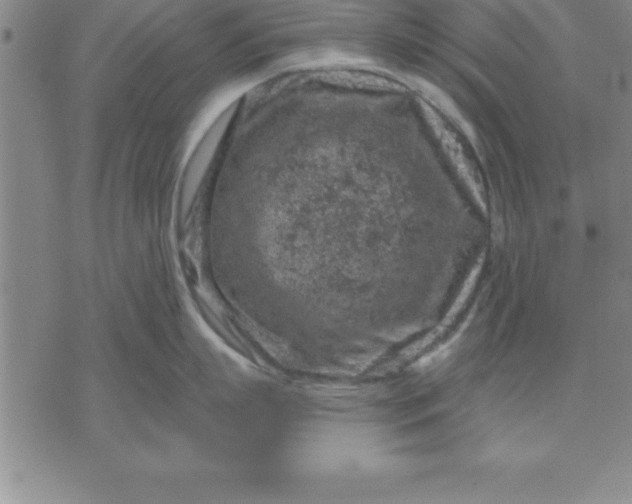 X0000071850863200607141748