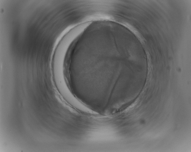 X0000071850864200607141748