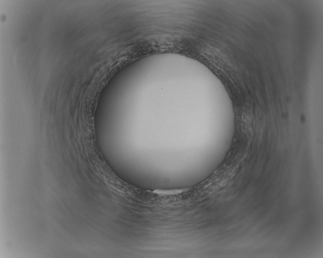 X0000071850865200607141748