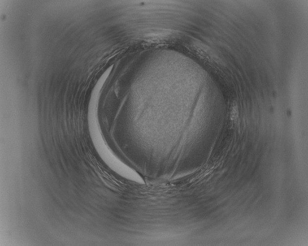 X0000071850868200607141748