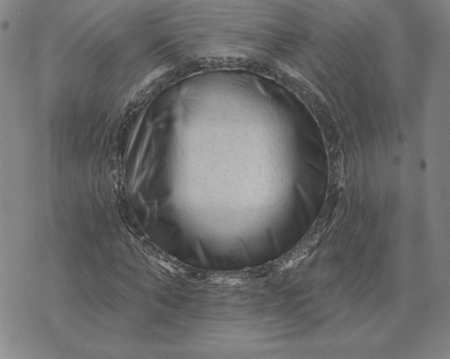 X0000071850870200607141748