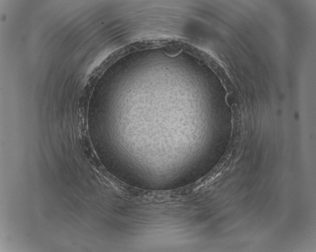 X0000071850871200607141748