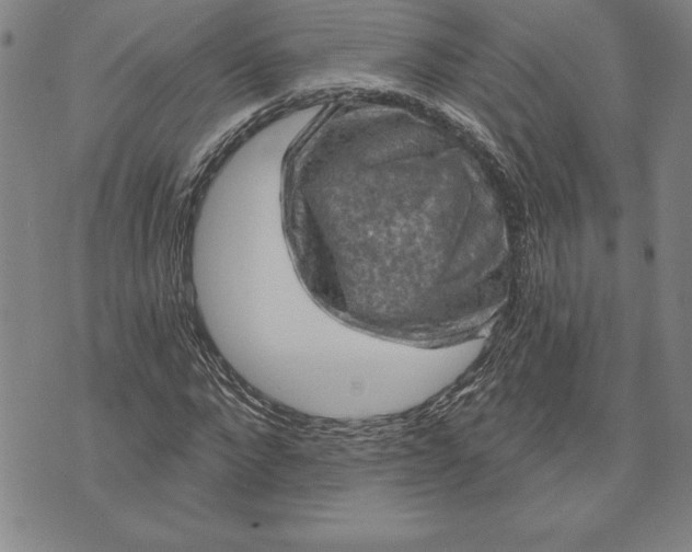 X0000071850872200607141747