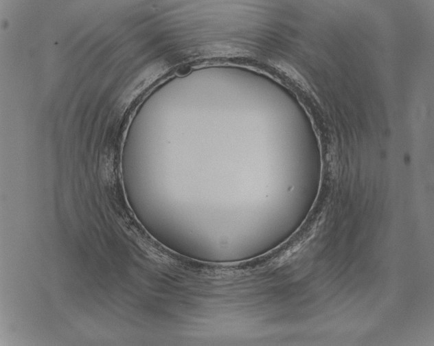 X0000071850873200607141747