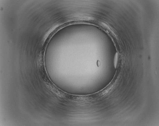 X0000071850875200607141747