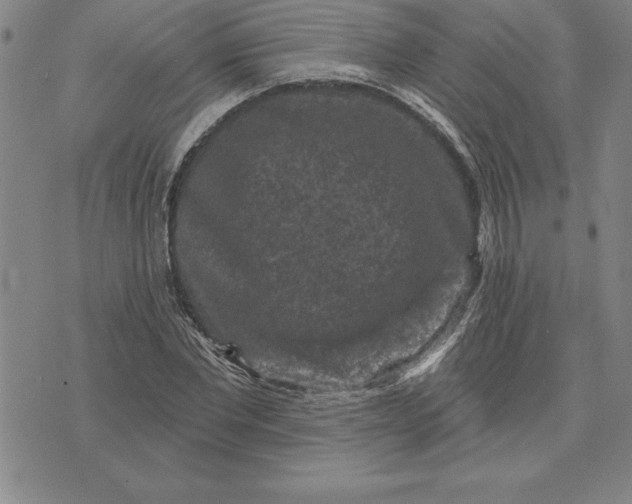 X0000071850877200607141747