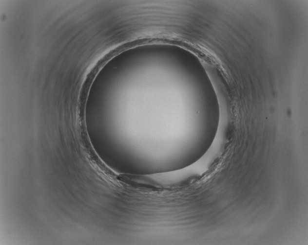 X0000071850880200607141747