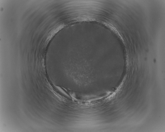 X0000071850881200607141747