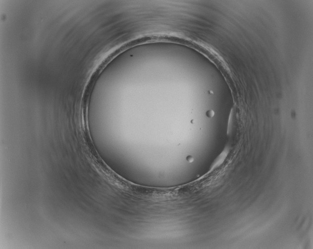 X0000071850887200607141747