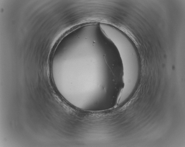 X0000071850888200607141747