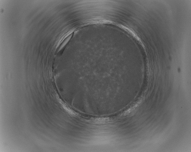 X0000071850889200607141747