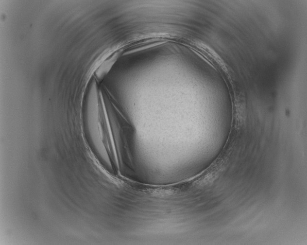 X0000071850890200607141747