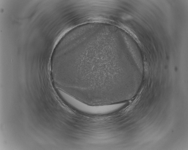 X0000071850891200607141747