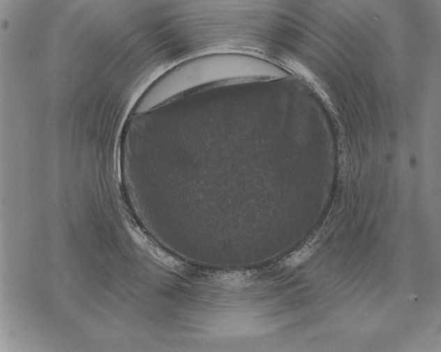 X0000071850892200607141747