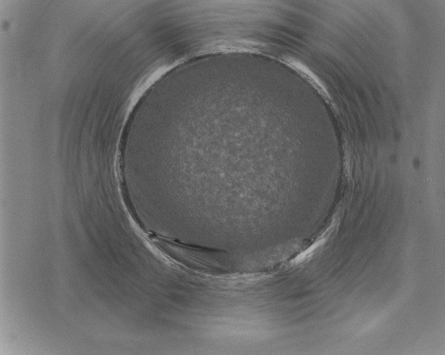 X0000071850893200607141747