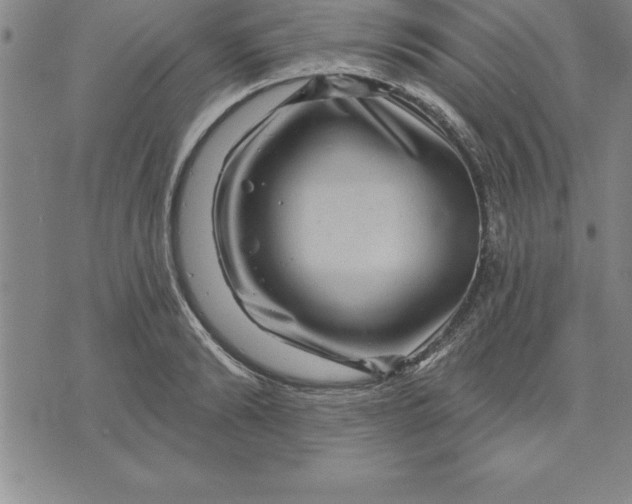 X0000071850894200607141747