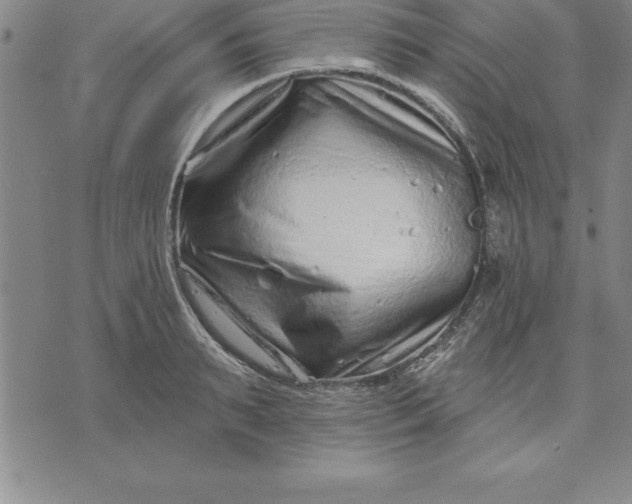 X0000071850895200607141747