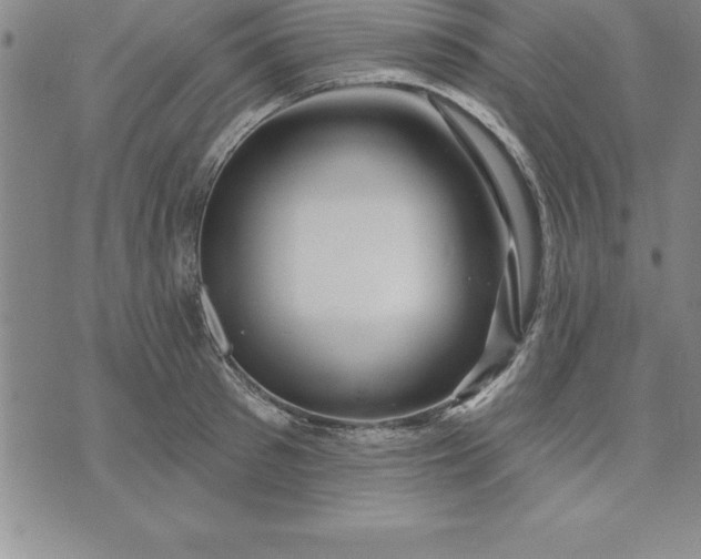 X0000071850897200607141747