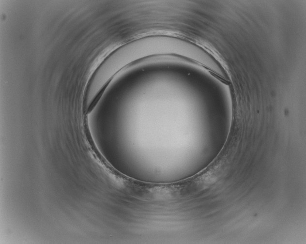 X0000071850898200607141747