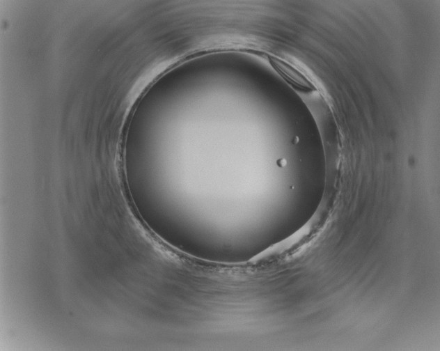 X0000071850901200607141747