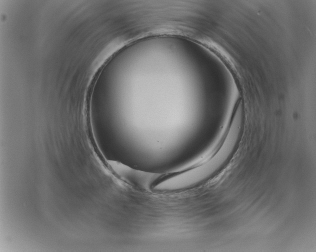 X0000071850902200607141747