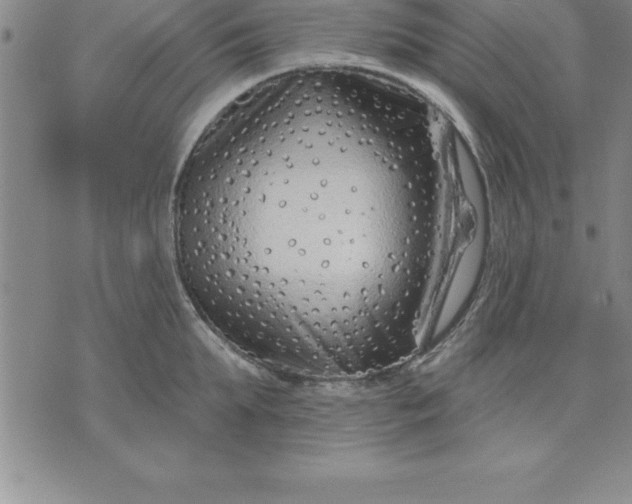 X0000071850903200607141747