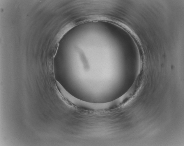 X0000071850905200607141747