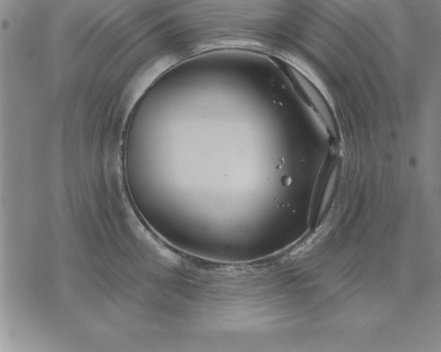 X0000071850906200607141747