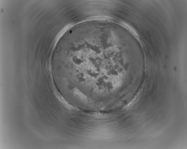 X0000071850907200607141747