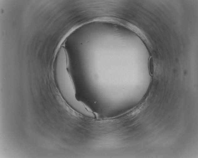 X0000071850908200607141747