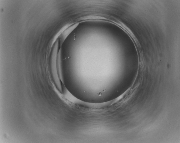 X0000071850909200607141747