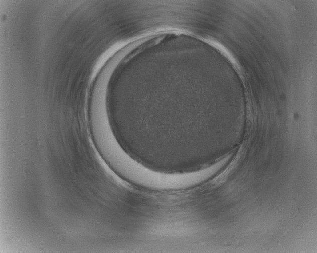 X0000071850910200607141747