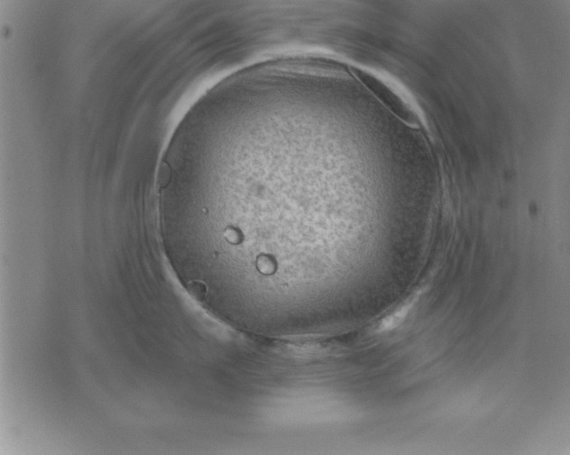 X0000071850911200607141747