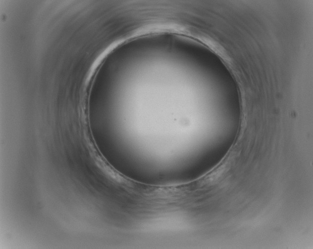 X0000071850912200607141747