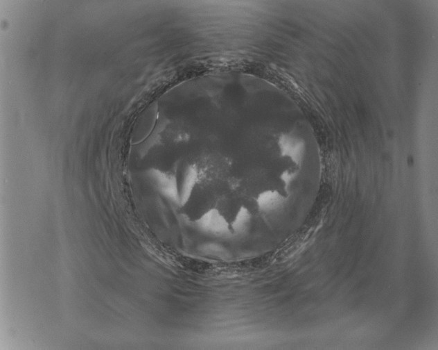 X0000071850913200607141746