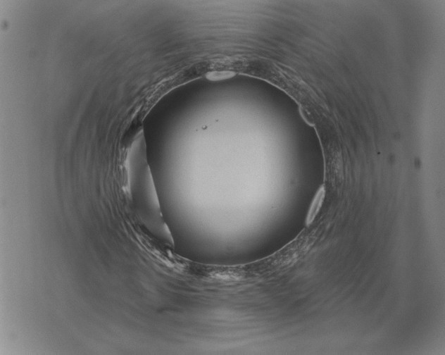 X0000071850914200607141746