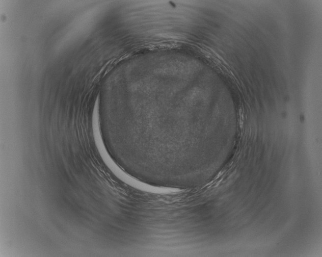 X0000071850915200607141746