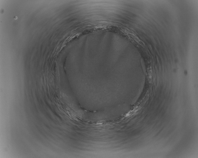 X0000071850916200607141746